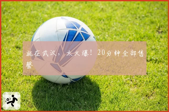 就在武汉，太火爆！20分钟全部售罄