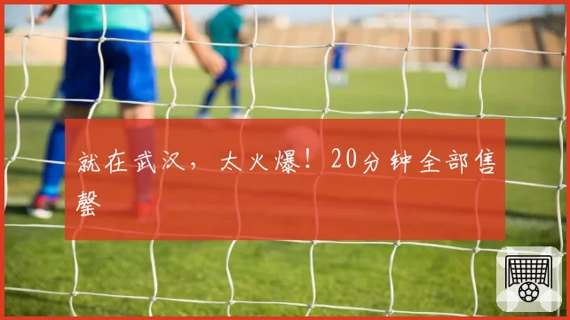 就在武汉，太火爆！20分钟全部售罄